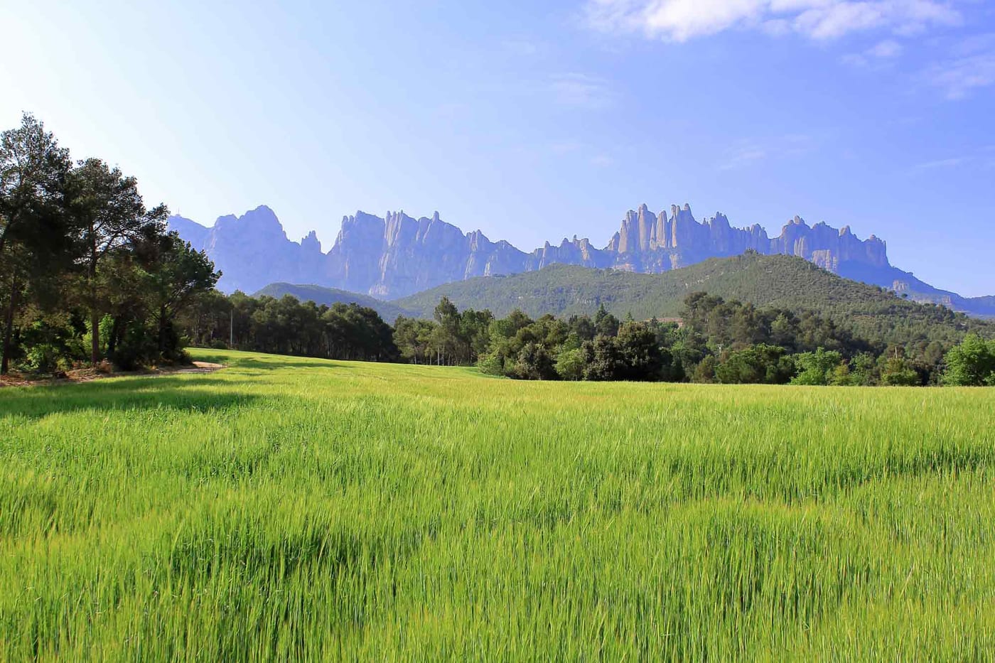 Paisatge de Montserrat